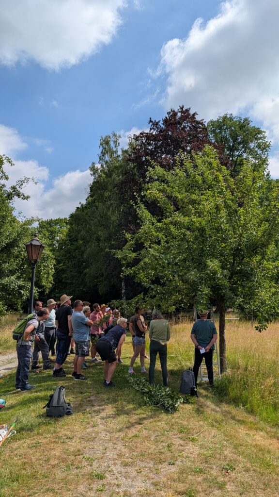 Groep mensen in een park.